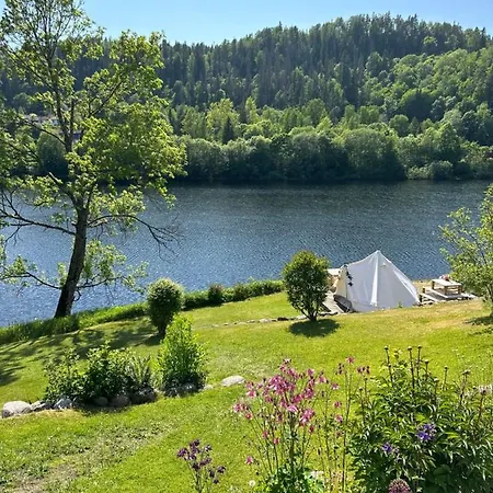Glamping On Idyllic Lake, Paddle Boards & Rowboat *