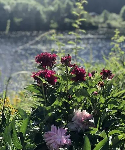 Lyxtält Glamping On Idyllic Lake, Paddle Boards & Rowboat *