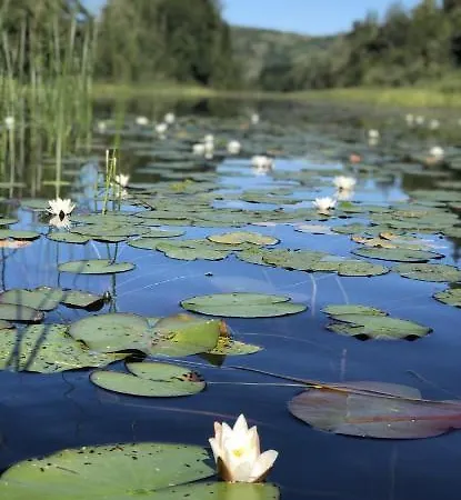 Glamping On Idyllic Lake, Paddle Boards & Rowboat ポールスグルン