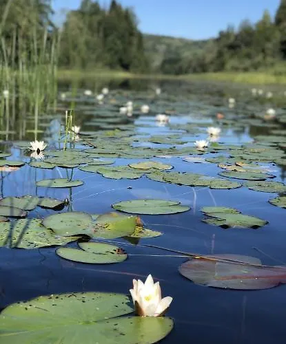 Glamping On Idyllic Lake, Paddle Boards & Rowboat Porsgrunn